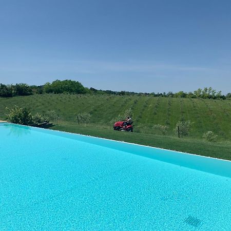 Agriturismo La Rinaldina فينْتْسا المظهر الخارجي الصورة