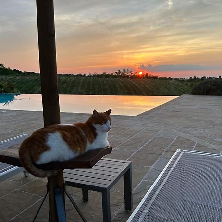 Agriturismo La Rinaldina فينْتْسا المظهر الخارجي الصورة