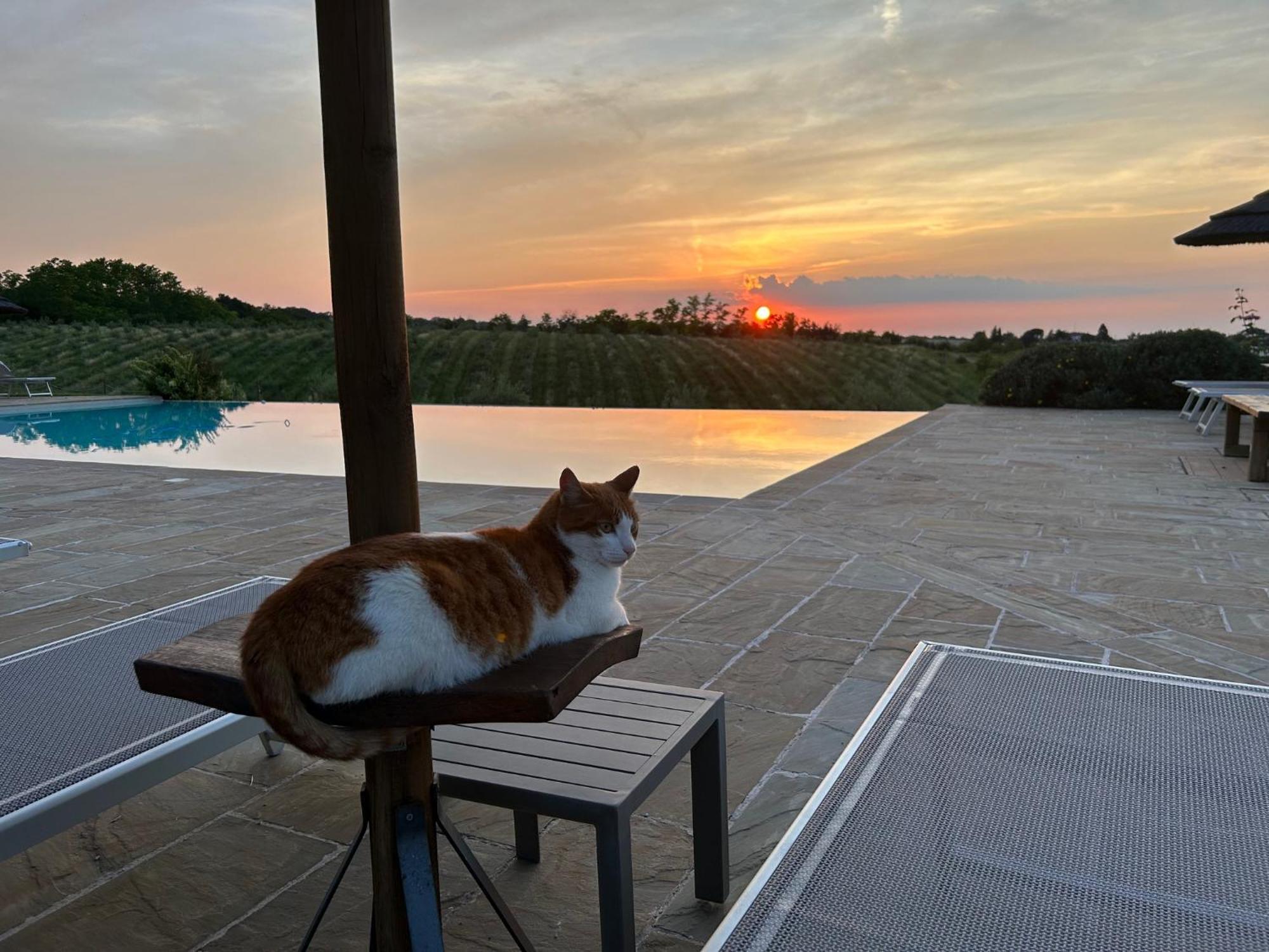 Agriturismo La Rinaldina فينْتْسا المظهر الخارجي الصورة