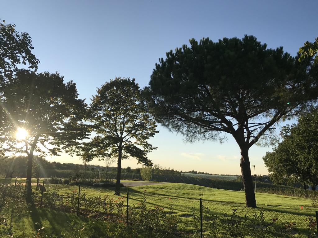 Agriturismo La Rinaldina فينْتْسا المظهر الخارجي الصورة
