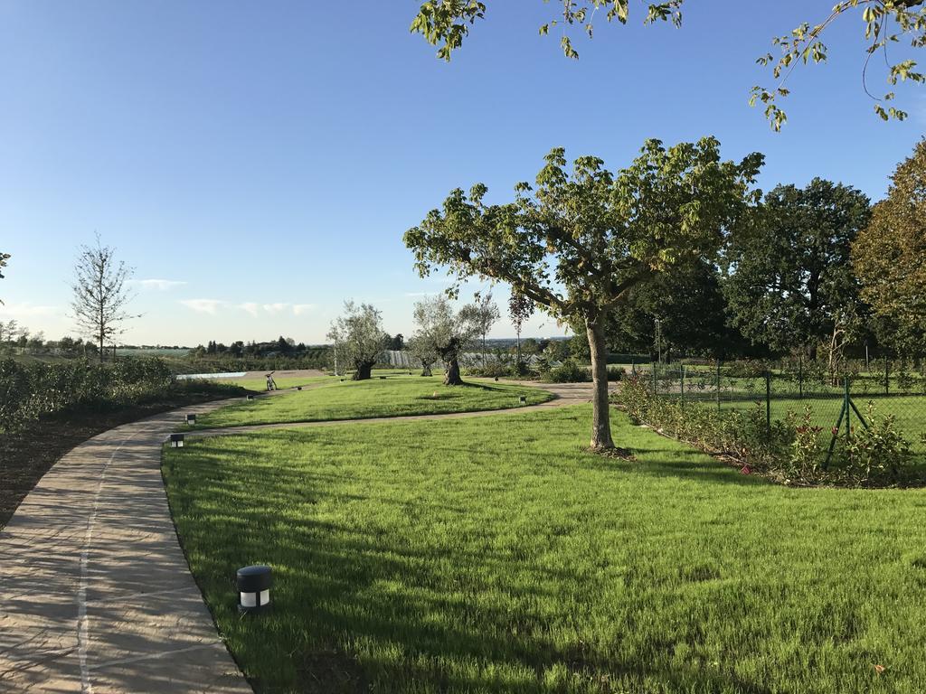Agriturismo La Rinaldina فينْتْسا المظهر الخارجي الصورة