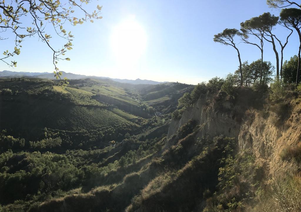 Agriturismo La Rinaldina فينْتْسا المظهر الخارجي الصورة