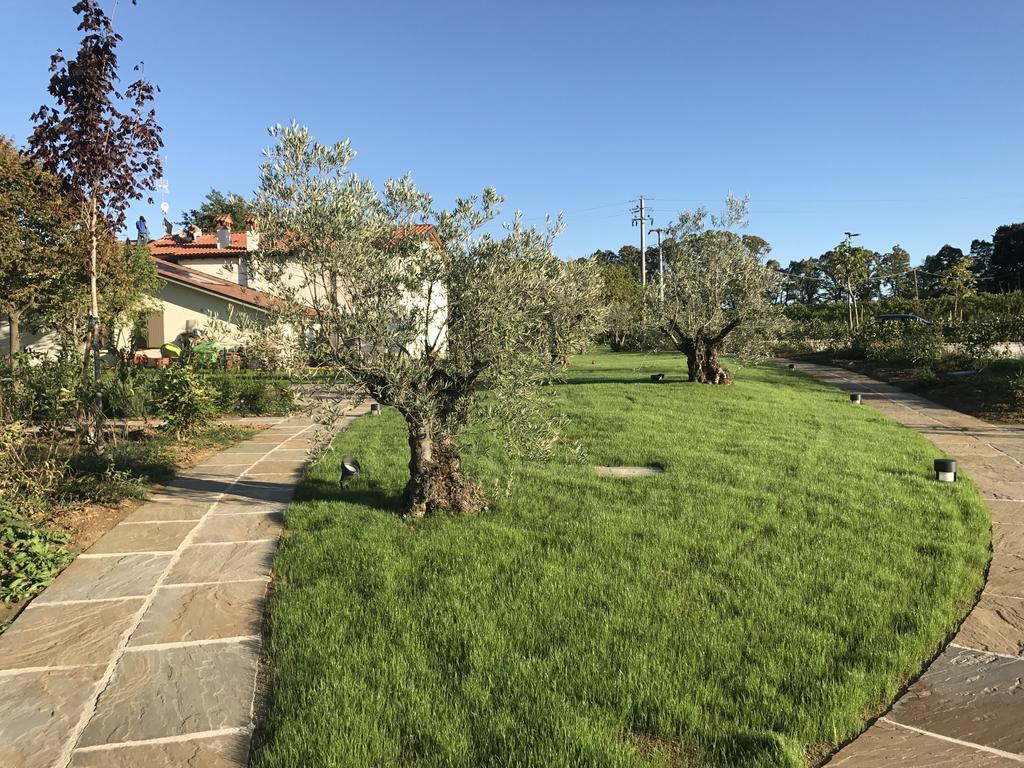 Agriturismo La Rinaldina فينْتْسا المظهر الخارجي الصورة